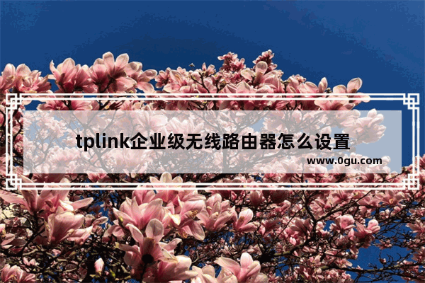 tplink企业级无线路由器怎么设置