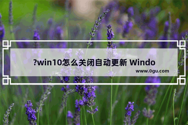 ?win10怎么关闭自动更新 Windows10关闭自动更新的方法教程