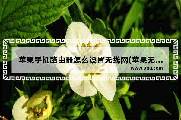 苹果手机路由器怎么设置无线网(苹果无线路由器设置方法)