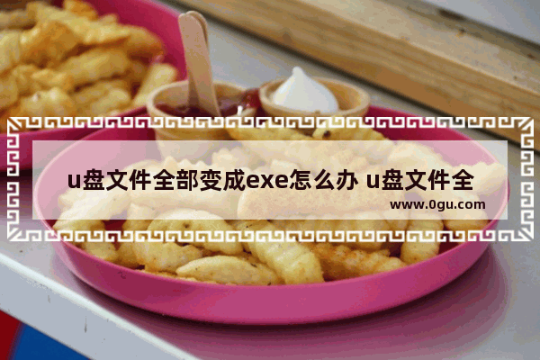 u盘文件全部变成exe怎么办 u盘文件全变成exe了怎么办?