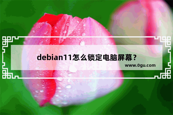 debian11怎么锁定电脑屏幕？