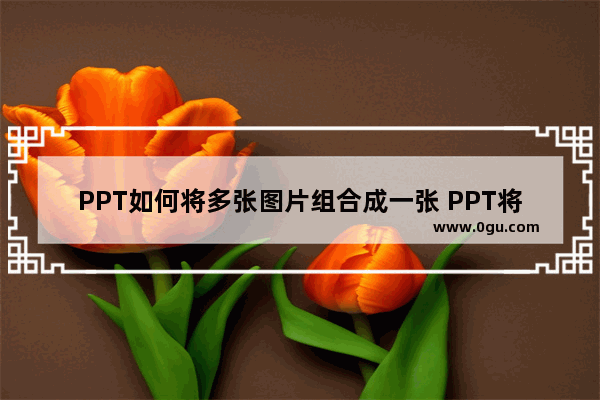 PPT如何将多张图片组合成一张 PPT将多张图片组合成一张的方法