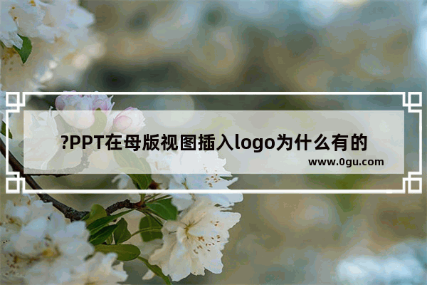 ?PPT在母版视图插入logo为什么有的页面不显示 PPT解决有的页面没有显示母版logo的方法教程