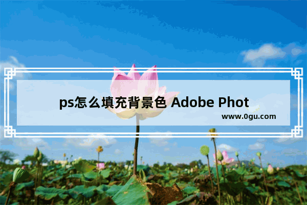 ps怎么填充背景色 Adobe PhotoShop填充背景色的方法