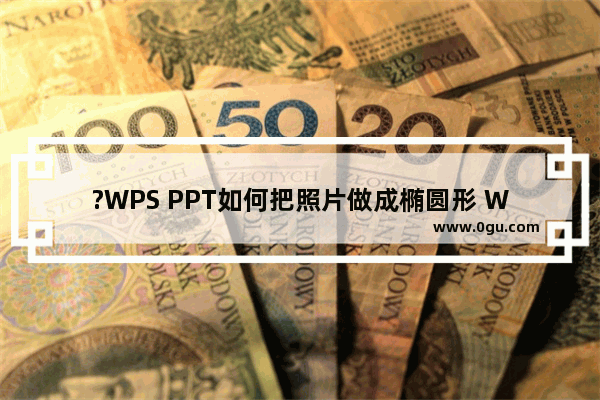 ?WPS PPT如何把照片做成椭圆形 WPS PPT把图片裁剪成一个椭圆形状的方法教程