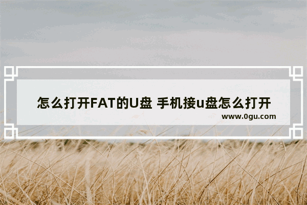 怎么打开FAT的U盘 手机接u盘怎么打开