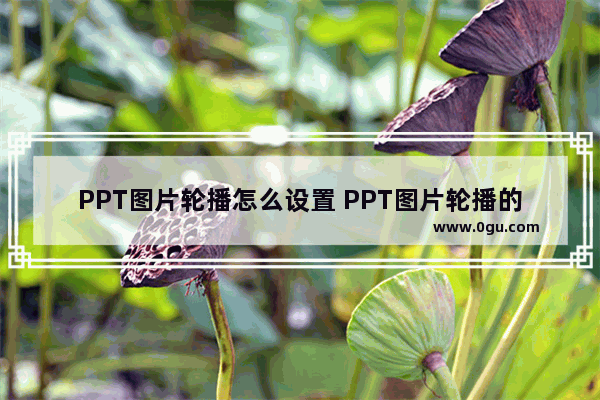 PPT图片轮播怎么设置 PPT图片轮播的方法