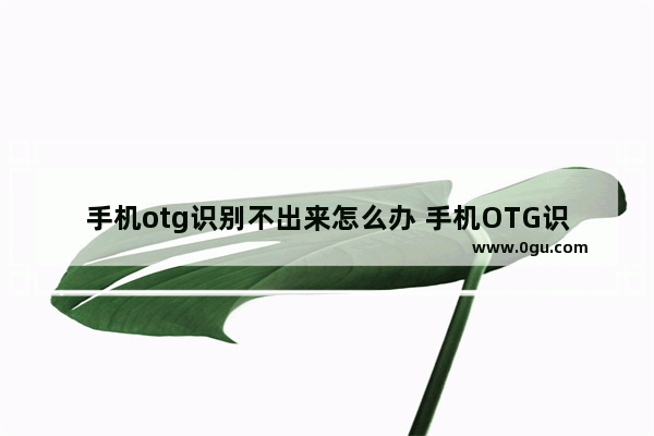 手机otg识别不出来怎么办 手机OTG识别不出来