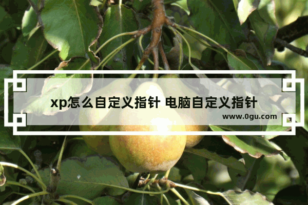 xp怎么自定义指针 电脑自定义指针