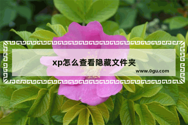 xp怎么查看隐藏文件夹