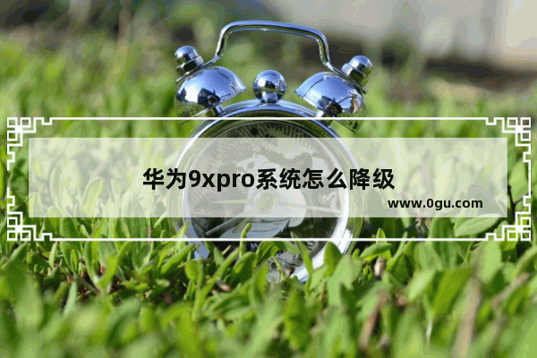 华为9xpro系统怎么降级