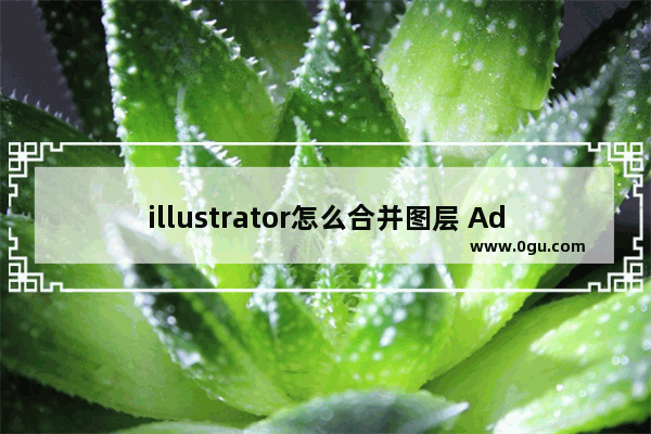 illustrator怎么合并图层 Adobe illustrator合并图层的方法