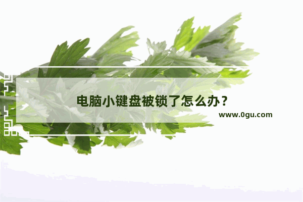 电脑小键盘被锁了怎么办？