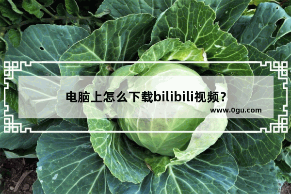 电脑上怎么下载bilibili视频？