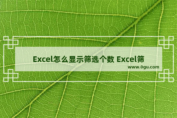 Excel怎么显示筛选个数 Excel筛选显示个数的方法