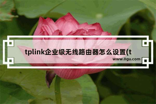 tplink企业级无线路由器怎么设置(tplink企业级路由器设置方法)