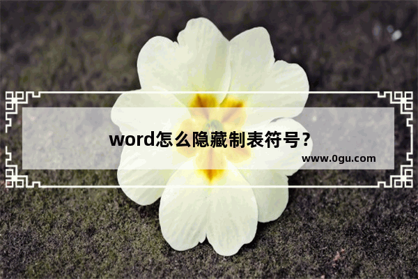 word怎么隐藏制表符号？