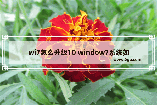 wi7怎么升级10 window7系统如何升级10