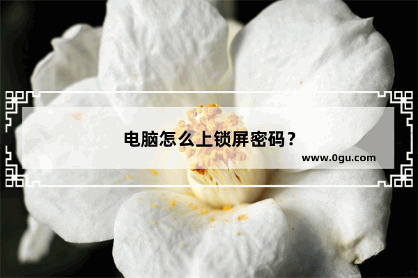 电脑怎么上锁屏密码？