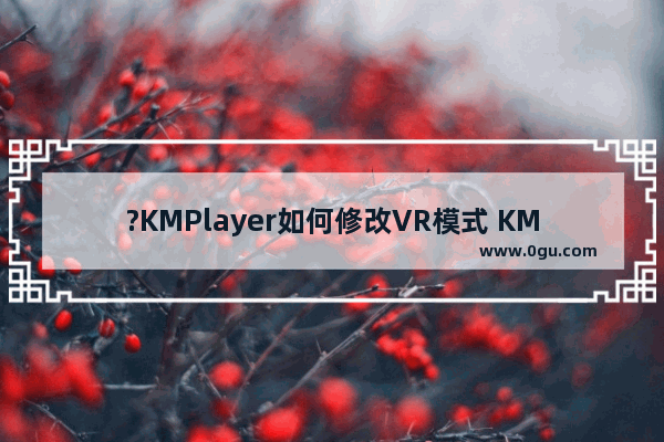 ?KMPlayer如何修改VR模式 KMPlayer切换VR模式的方法教程