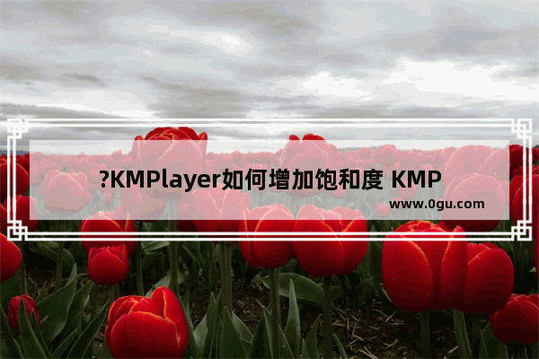 ?KMPlayer如何增加饱和度 KMPlayer增加视频饱和度的方法教程