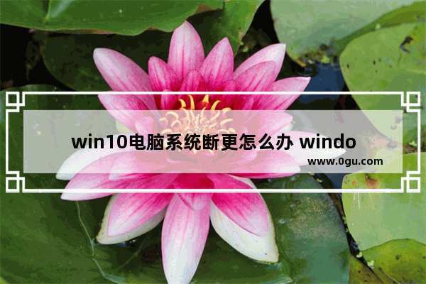 win10电脑系统断更怎么办 window10中断更新