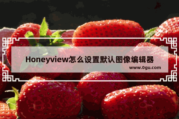 Honeyview怎么设置默认图像编辑器 honeyview设置图像编辑器的方法