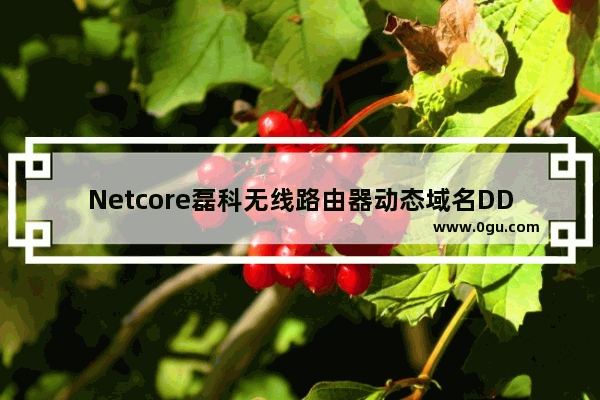 Netcore磊科无线路由器动态域名DDNS设置方法