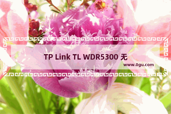 TP Link TL WDR5300 无线路由器管控网络权限设置教程