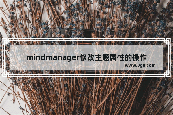 mindmanager修改主题属性的操作方法