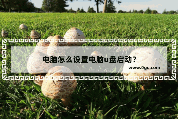 电脑怎么设置电脑u盘启动？