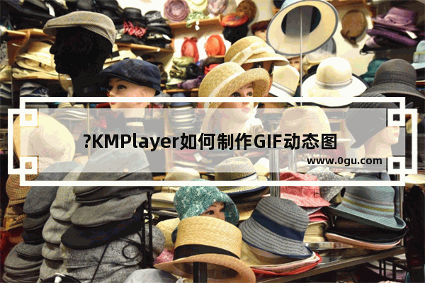 ?KMPlayer如何制作GIF动态图 KMPlayer截取GIF动图的方法教程