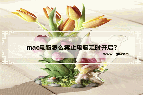 mac电脑怎么禁止电脑定时开启？