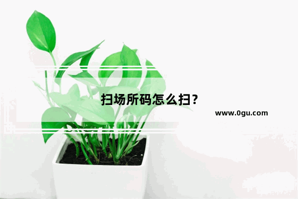 扫场所码怎么扫？