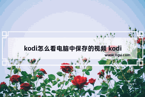 kodi怎么看电脑中保存的视频 kodi添加电脑本地视频的方法