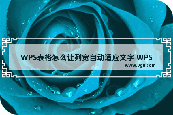 WPS表格怎么让列宽自动适应文字 WPS表格使列宽自动调整的方法教程