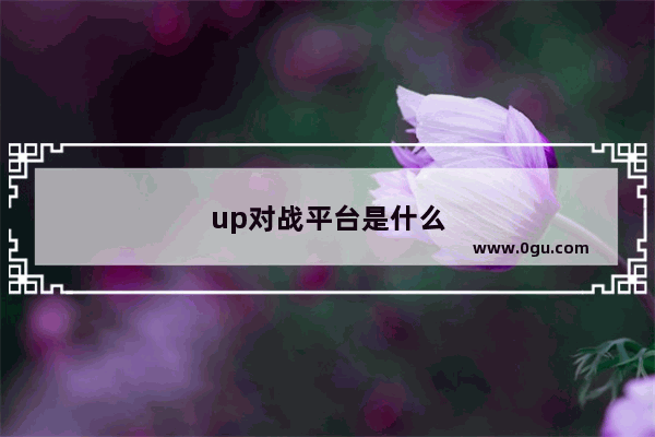 up对战平台是什么