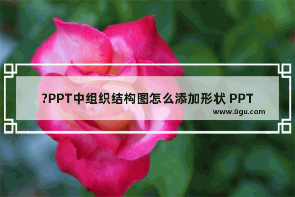 ?PPT中组织结构图怎么添加形状 PPT组织结构图增加分支的方法教程