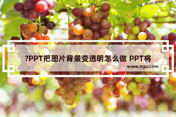 ?PPT把图片背景变透明怎么做 PPT将插入的图片底色变为透明的方法教程