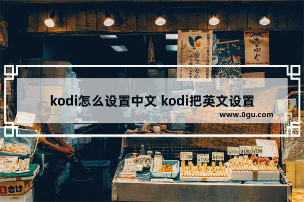 kodi怎么设置中文 kodi把英文设置成中文的方法