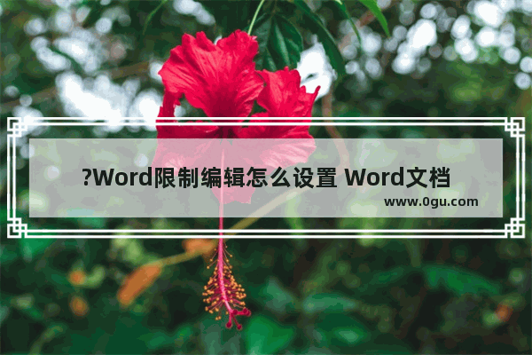 ?Word限制编辑怎么设置 Word文档限制编辑的方法教程