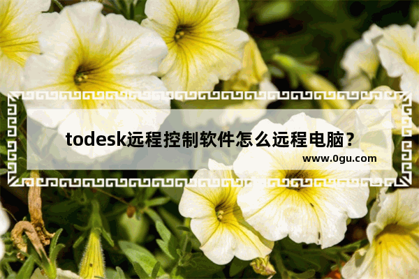 todesk远程控制软件怎么远程电脑？