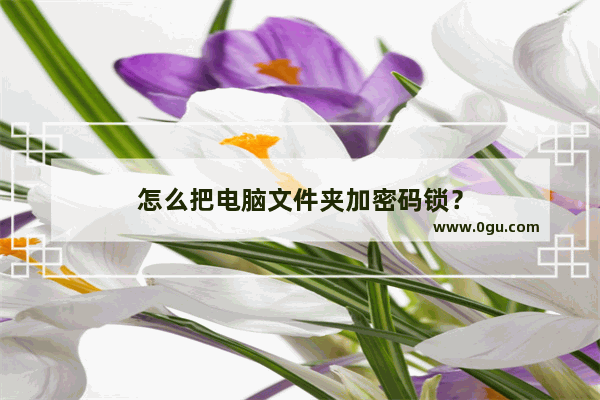 怎么把电脑文件夹加密码锁？