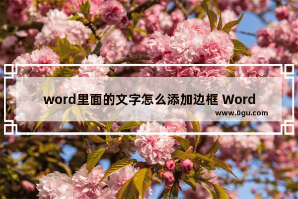 word里面的文字怎么添加边框 Word给文字添加边框的方法