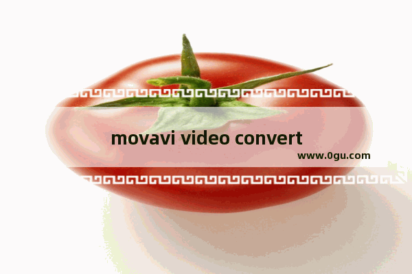 movavi video converter如何给图片添加水印 movavi video converter给图片添加水印的方法