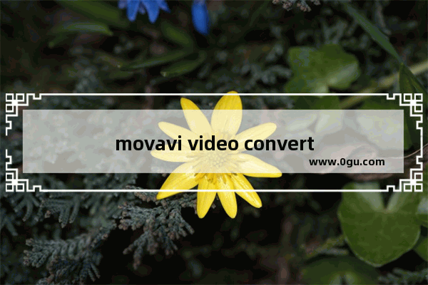 movavi video converter如何裁剪图片 movavi video converter裁剪图片的方法