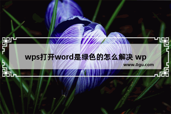 wps打开word是绿色的怎么解决 wps打开word是绿色的解决方法