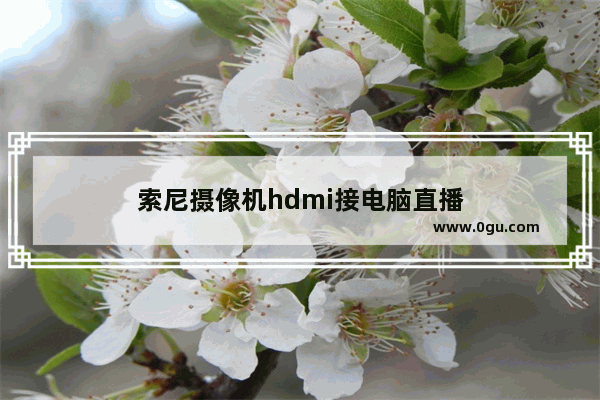 索尼摄像机hdmi接电脑直播