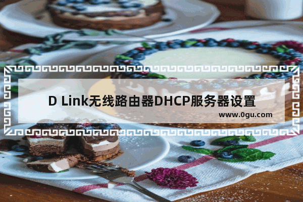 D Link无线路由器DHCP服务器设置教程