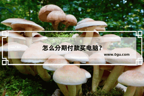 怎么分期付款买电脑？